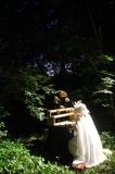 Sous bois 42 * 5184 x 3456 * (6.12MB)
